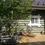 Баня Моховая - фото 21